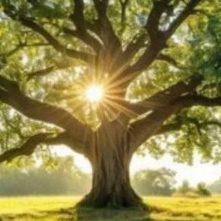 Green Acre Structures